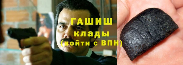 МДПВ Пересвет