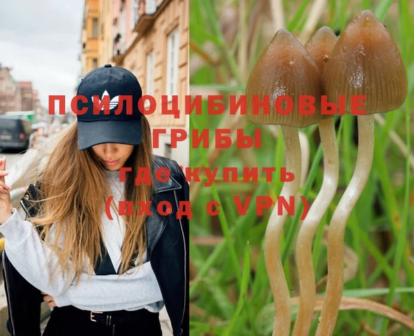 МДПВ Пересвет