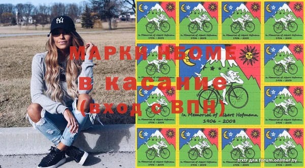 МДПВ Пересвет
