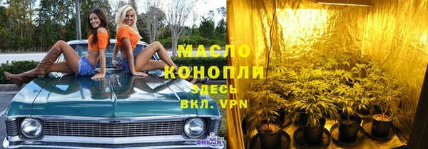 МДПВ Пересвет
