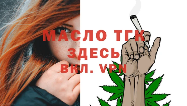МДПВ Пересвет
