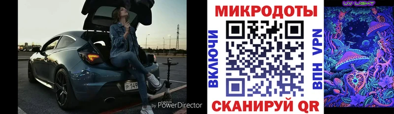 как найти закладки Тетюши Псилоцибиновые грибы Psilocybine cubensis