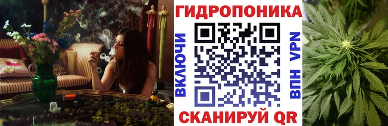 Конопля тримм  купить закладку  Тетюши 